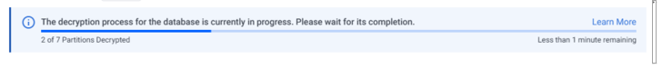 Decryption Progress Indicator