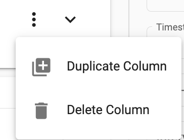 Duplicate column